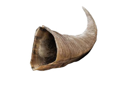Horn Resources